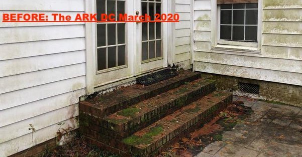 Photo of The Ark