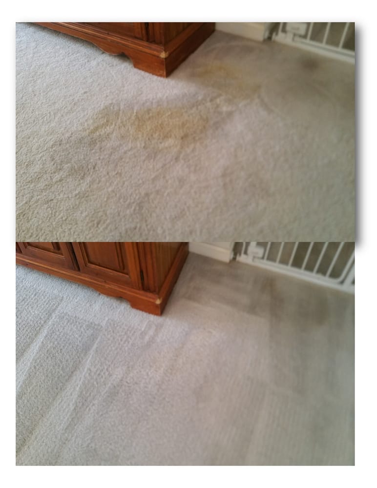 Photo of Total Carpet Cleaning
