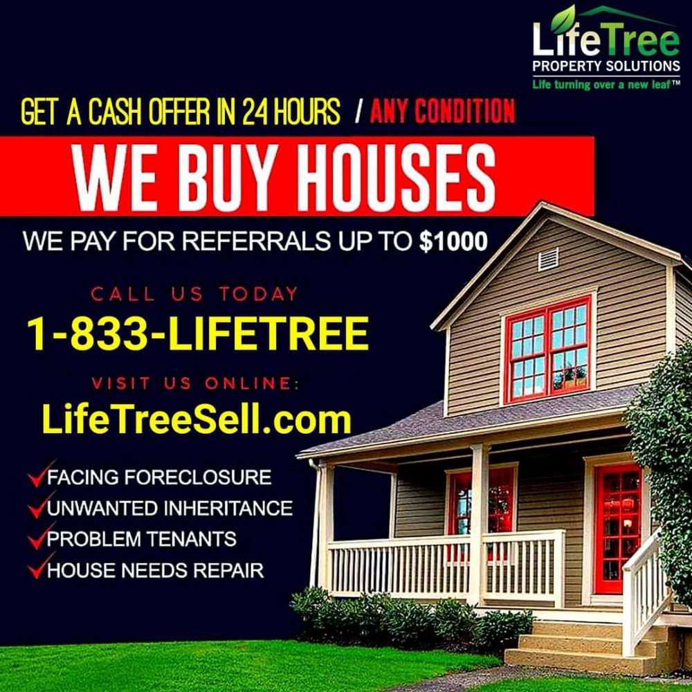 Photo of LifeTree Property Solutions