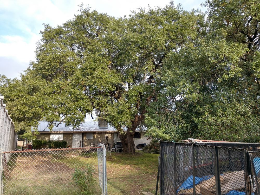 Photo of Boerjan'S Landscaping & Design