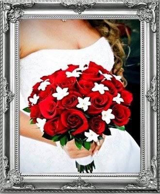Photo of CC Designs