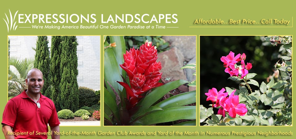 Photo of Expressions Landscapes