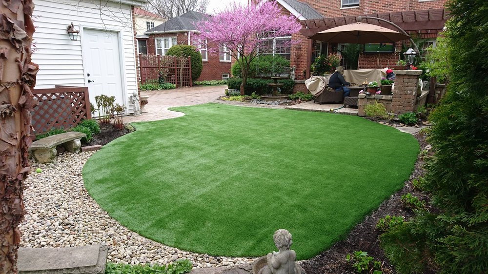 Photo of Chicago Dream Grass