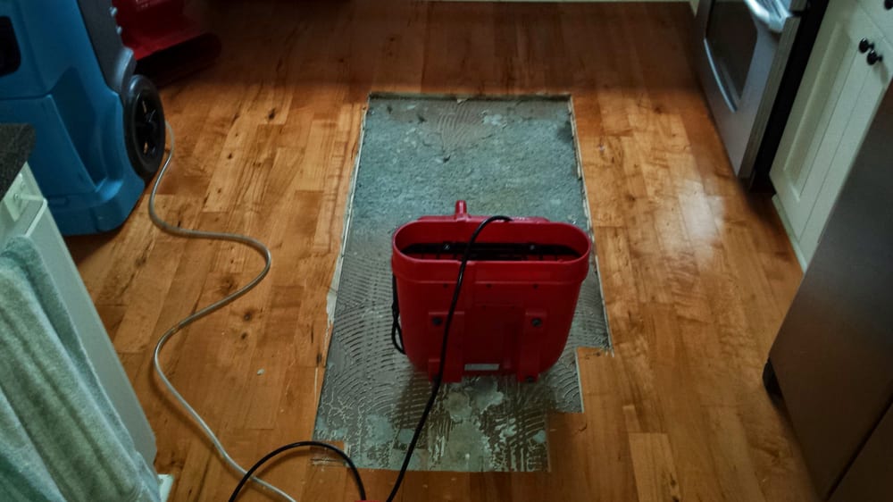 Photo of MD Restoration & Plumbing