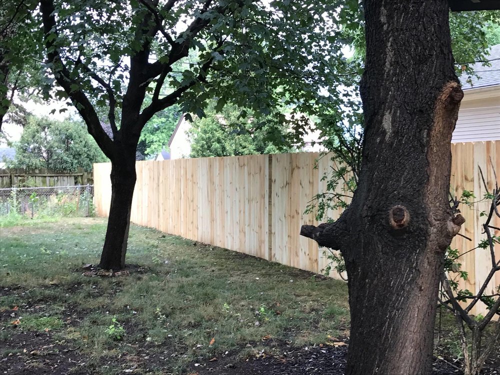 Photo of JJ Fence