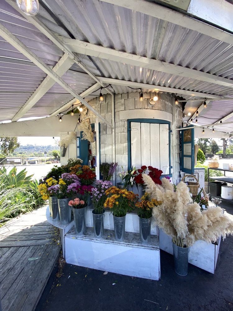 Photo of Little House of Flowers