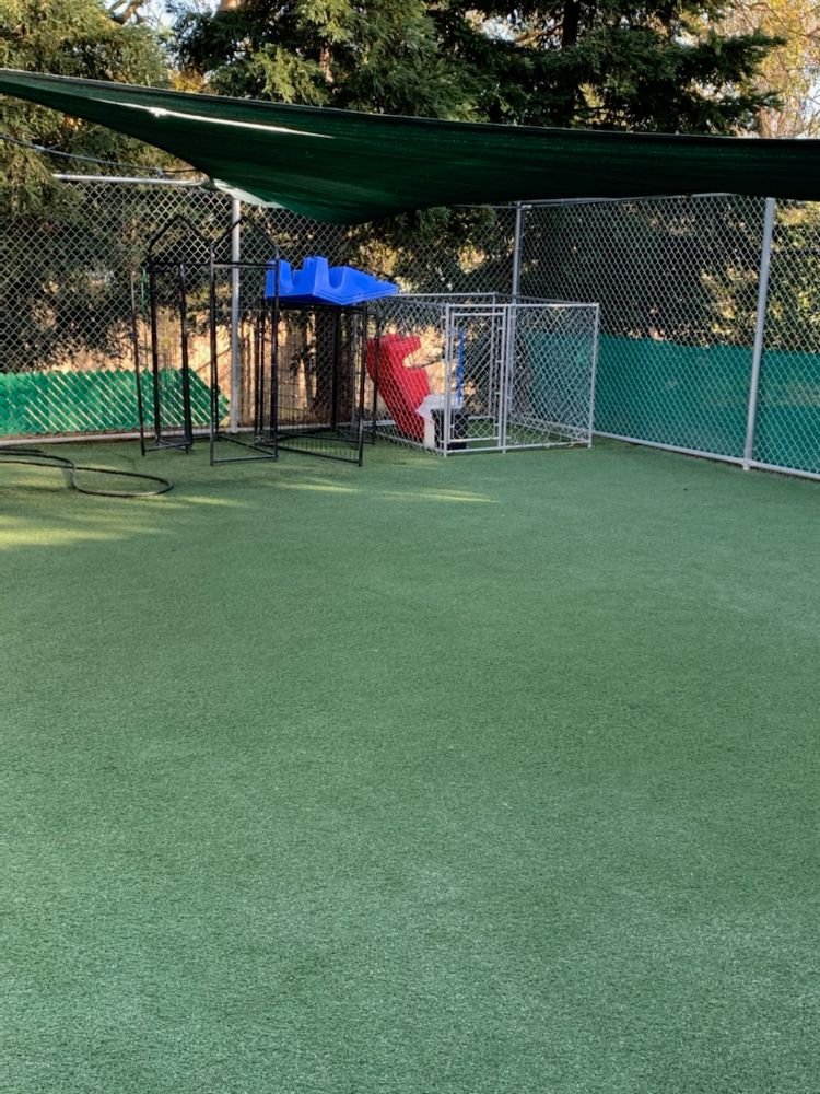 Photo of Synthetic Turf Restorations