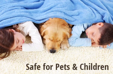 Photo of Heaven's Best Carpet Cleaning