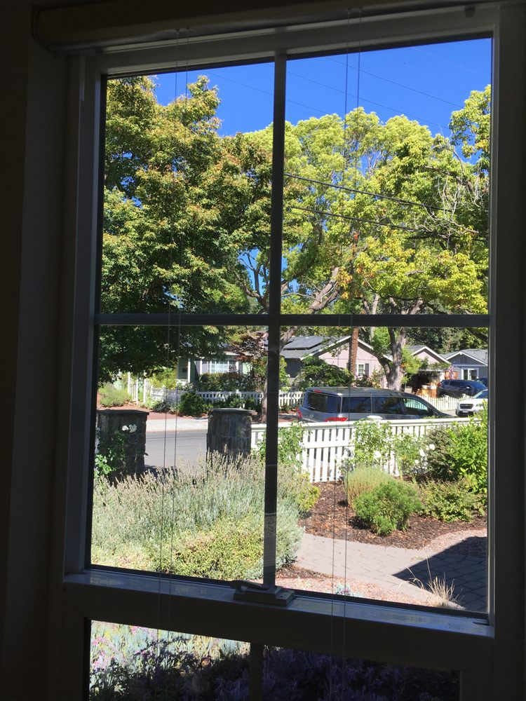 Photo of Golden Bay Glass