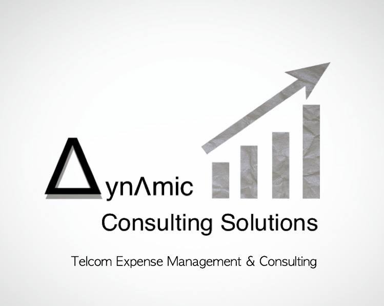 Photo of Dynamic Consulting Solutions