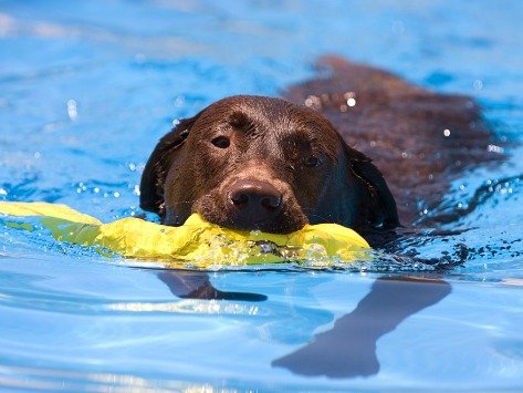 Photo of A Pro Pool & Spa