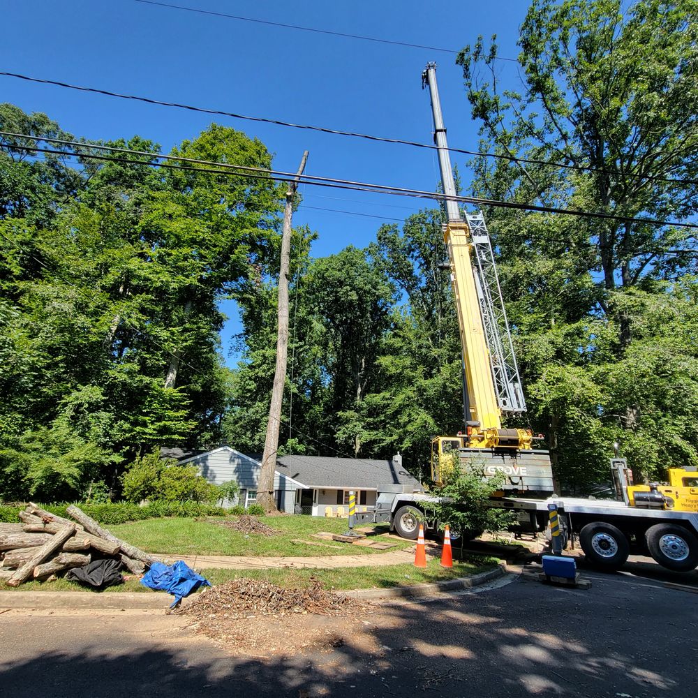 Photo of Solar Landscaping & Tree Service - McLean