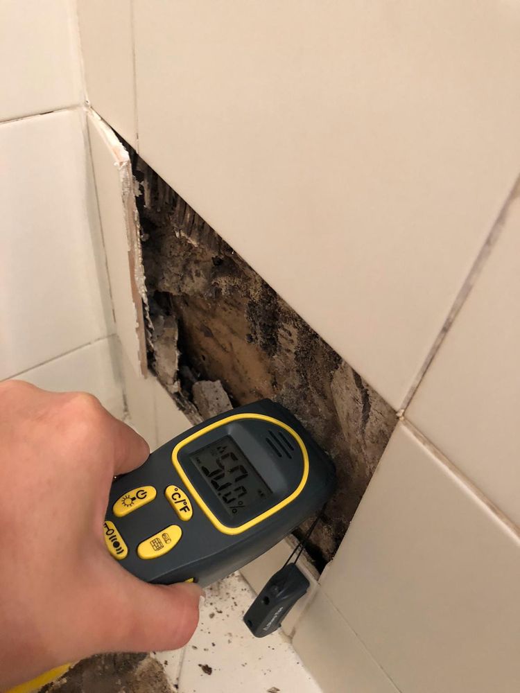 Photo of Mold R Us