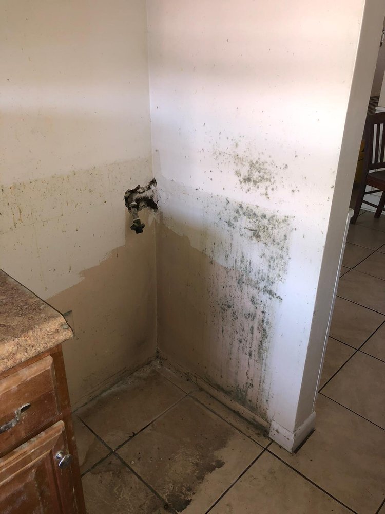 Photo of Mold R Us