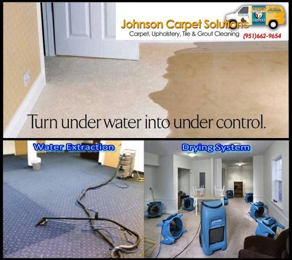 Photo of Johnson Carpet Cleaning Solutions