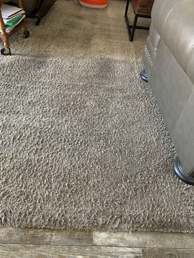 Photo of Johnson Carpet Cleaning Solutions