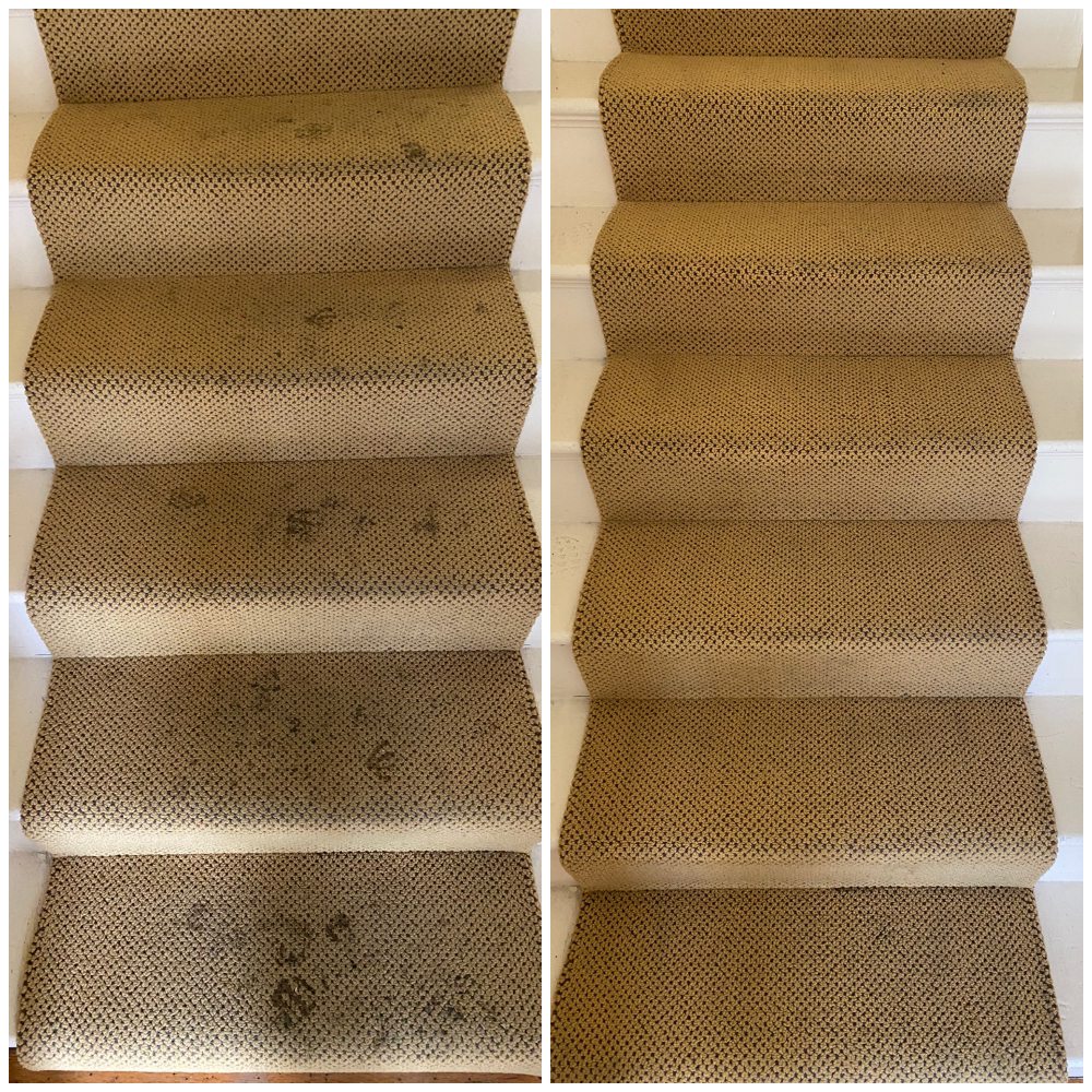Photo of Bay Area Carpet Master