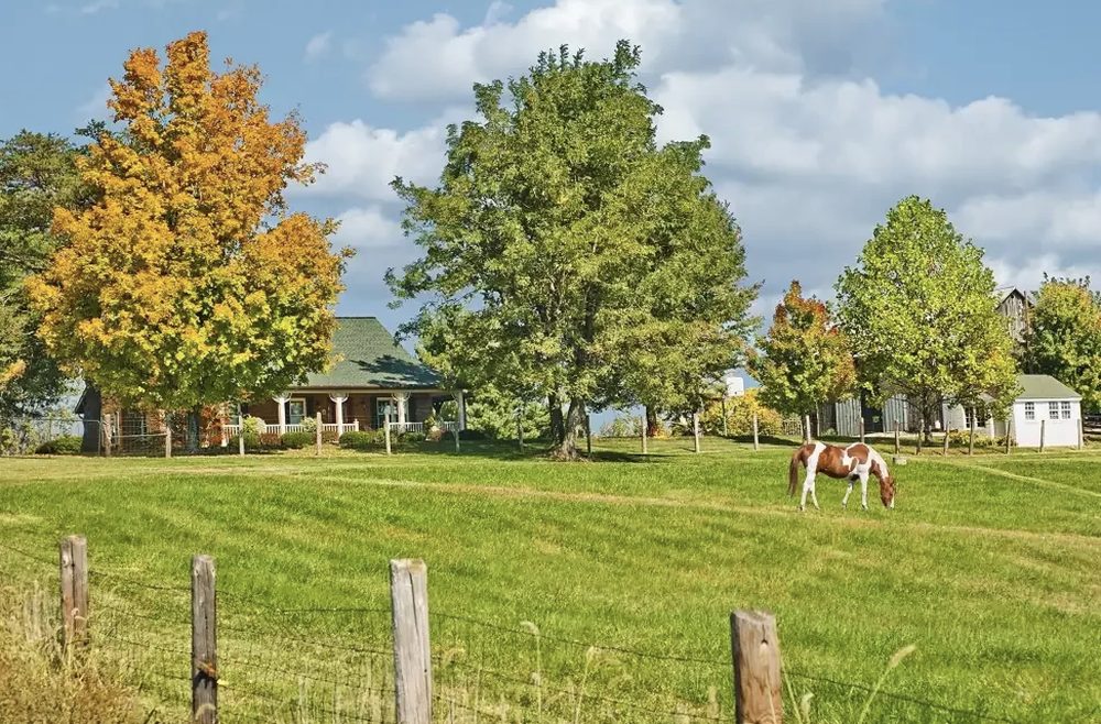 Photo of PROmetro Realty