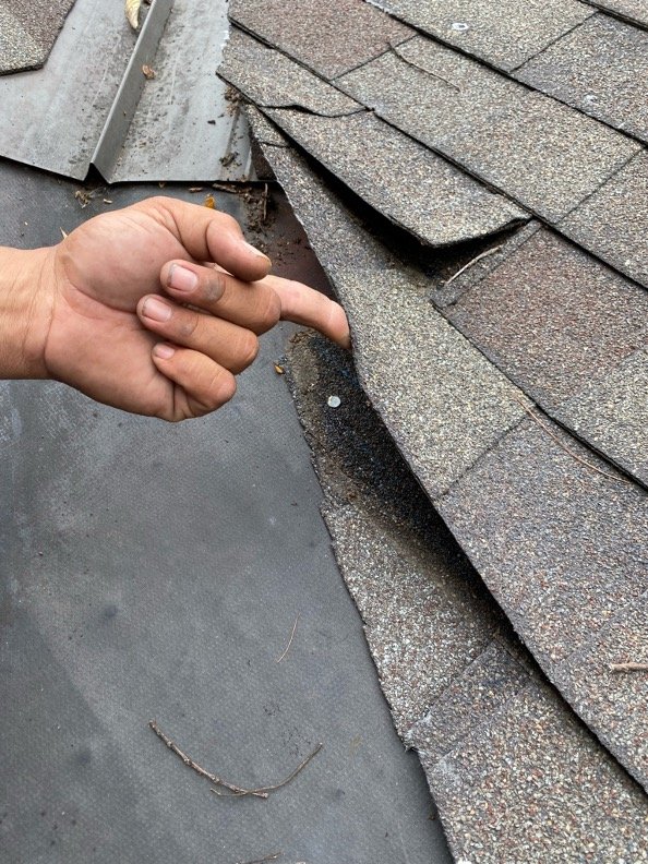 Photo of Mighty Dog Roofing of Greater New Orleans