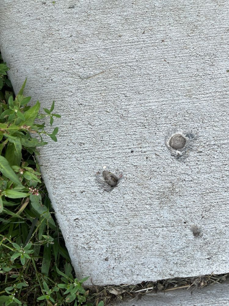 Photo of ART of Concrete