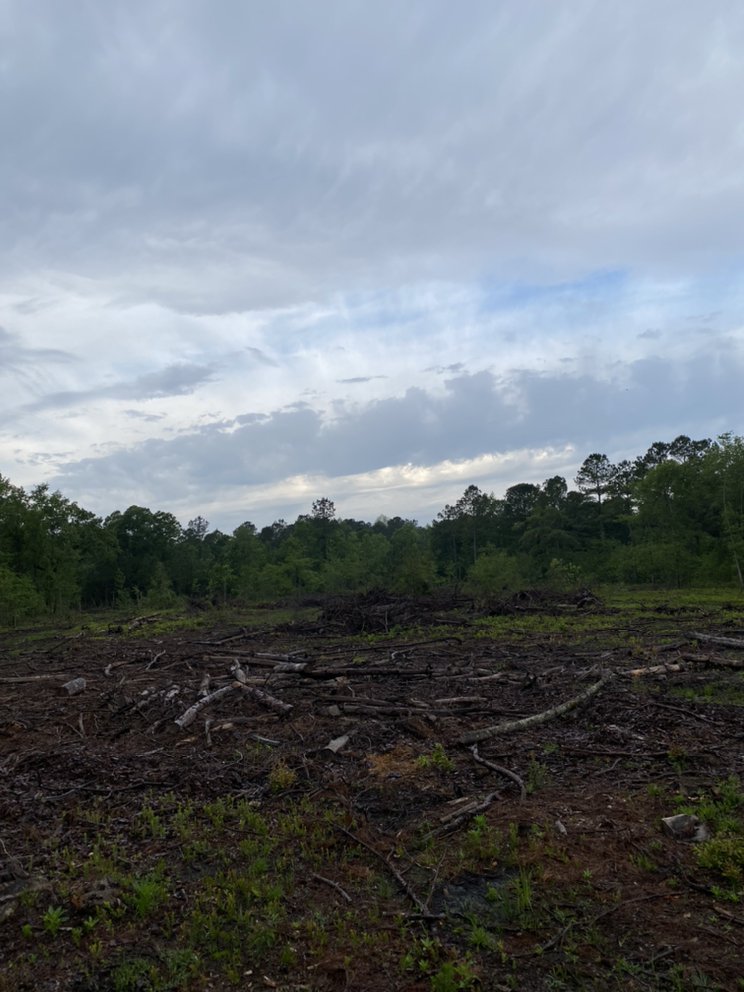 Photo of Palmetto Brush Control & Dirt Works