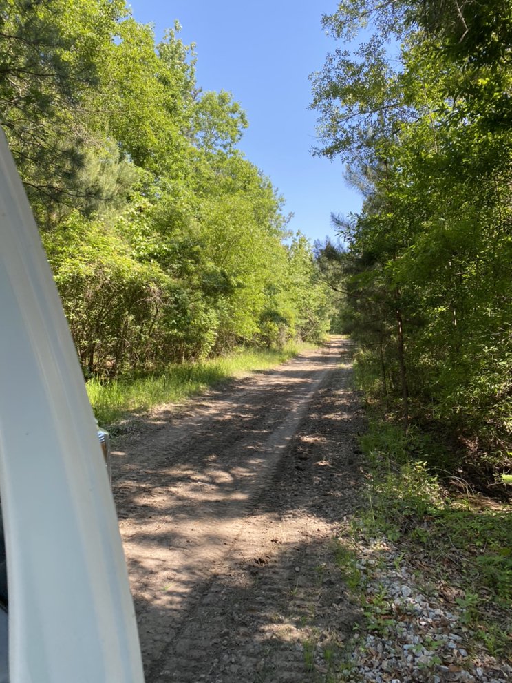 Photo of Palmetto Brush Control & Dirt Works