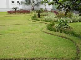 Photo of Petunia's Gardening