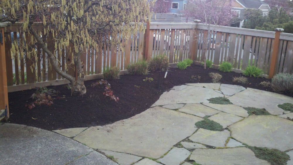 Photo of Petunia's Gardening