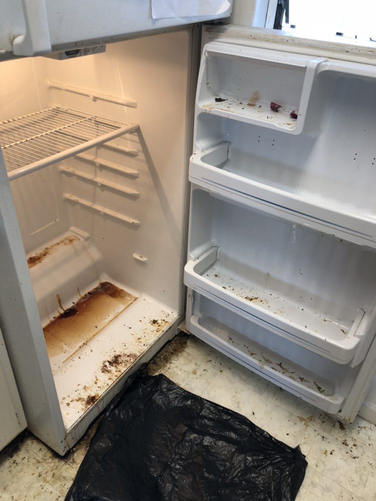 Photo of Bailey's Cleaning Service