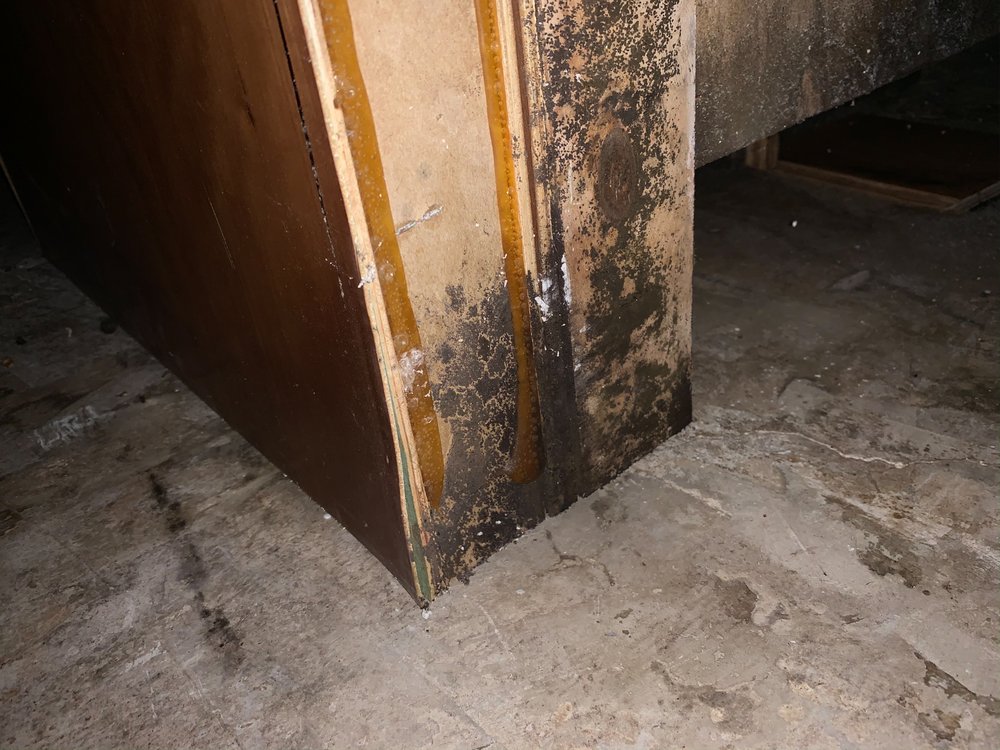 Photo of Clean-Tec Restoration & Cleaning