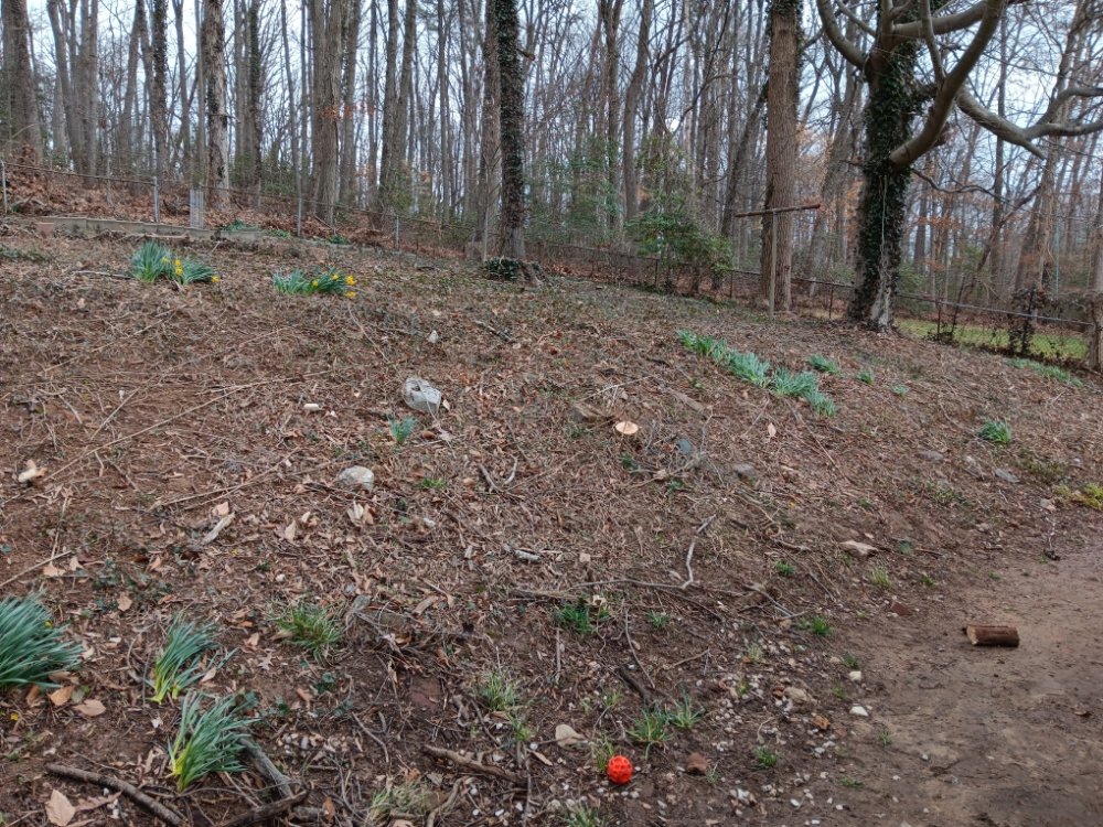 Photo of Omc Landscape