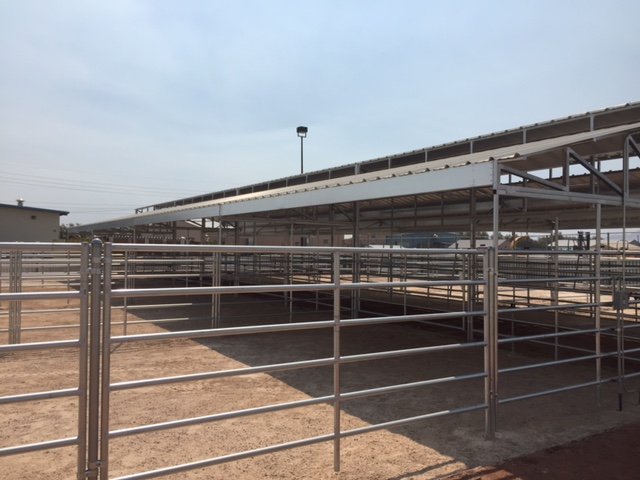 Photo of SAVI Construction