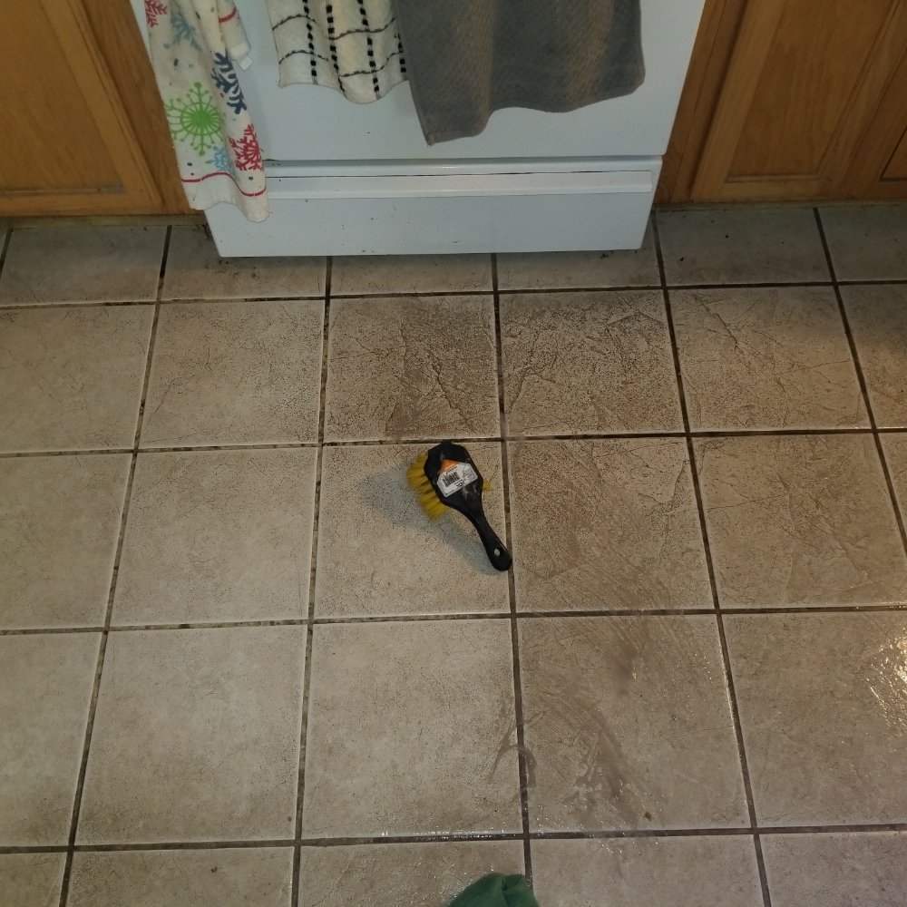 Photo of Javi's SpitShine Cleaning Services