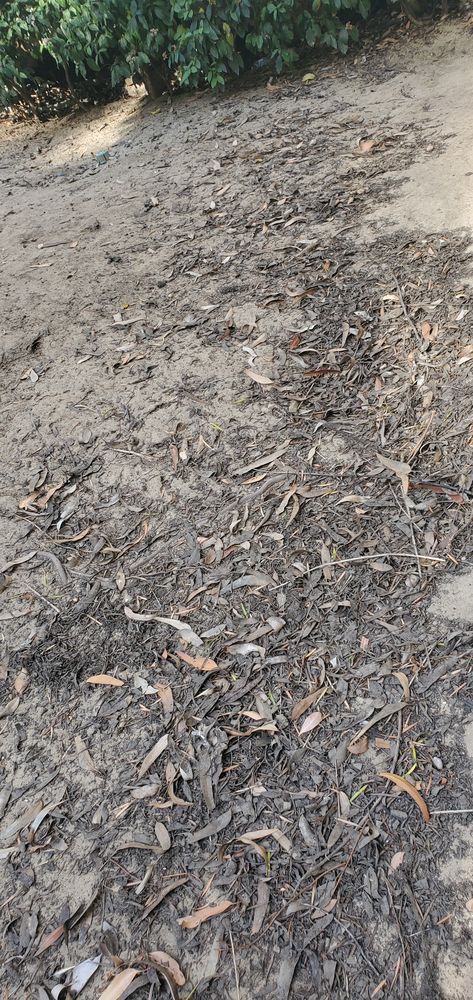 Photo of Total Rain Gutters