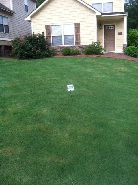 Photo of Southern Lawns
