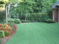 Photo of Southern Lawns