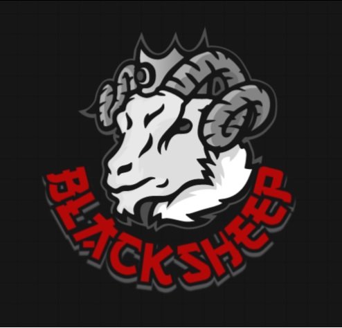 Photo of Black Sheep Mobile Auto Detail