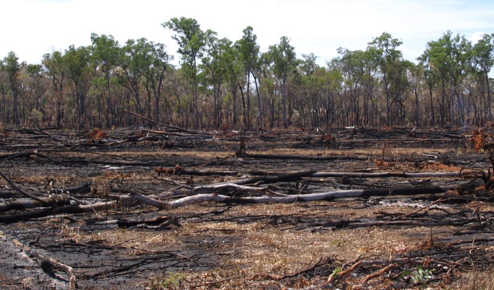 Photo of By Your Designs Land Clearing and Excavation