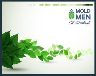 Photo of Mold Men of Pittsburgh