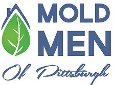 Photo of Mold Men of Pittsburgh