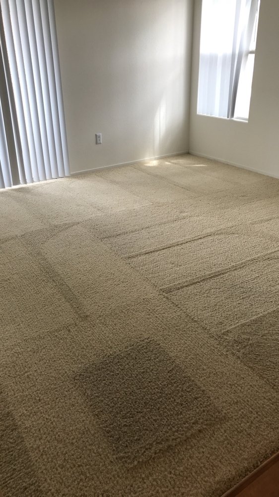 Photo of Mopsterz Cleaning Specialists