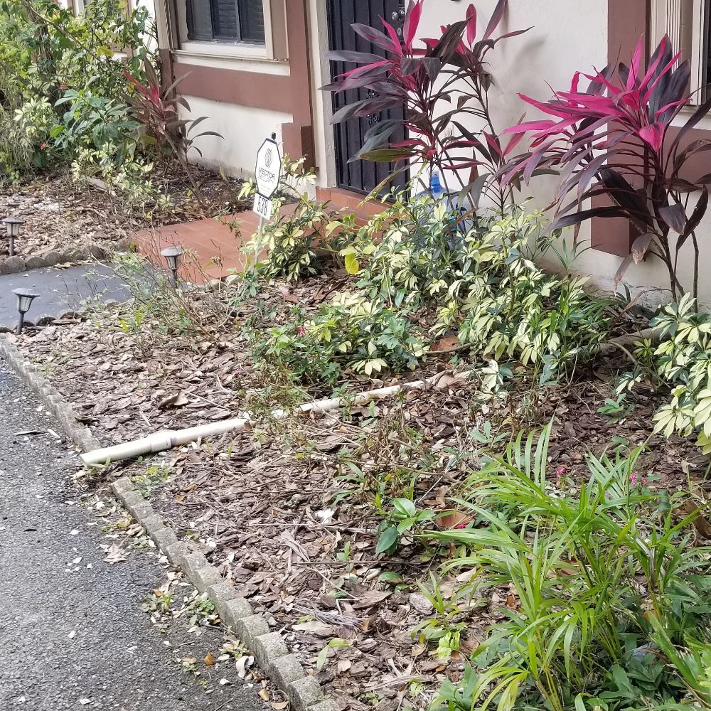 Photo of C S Designer Landscaping