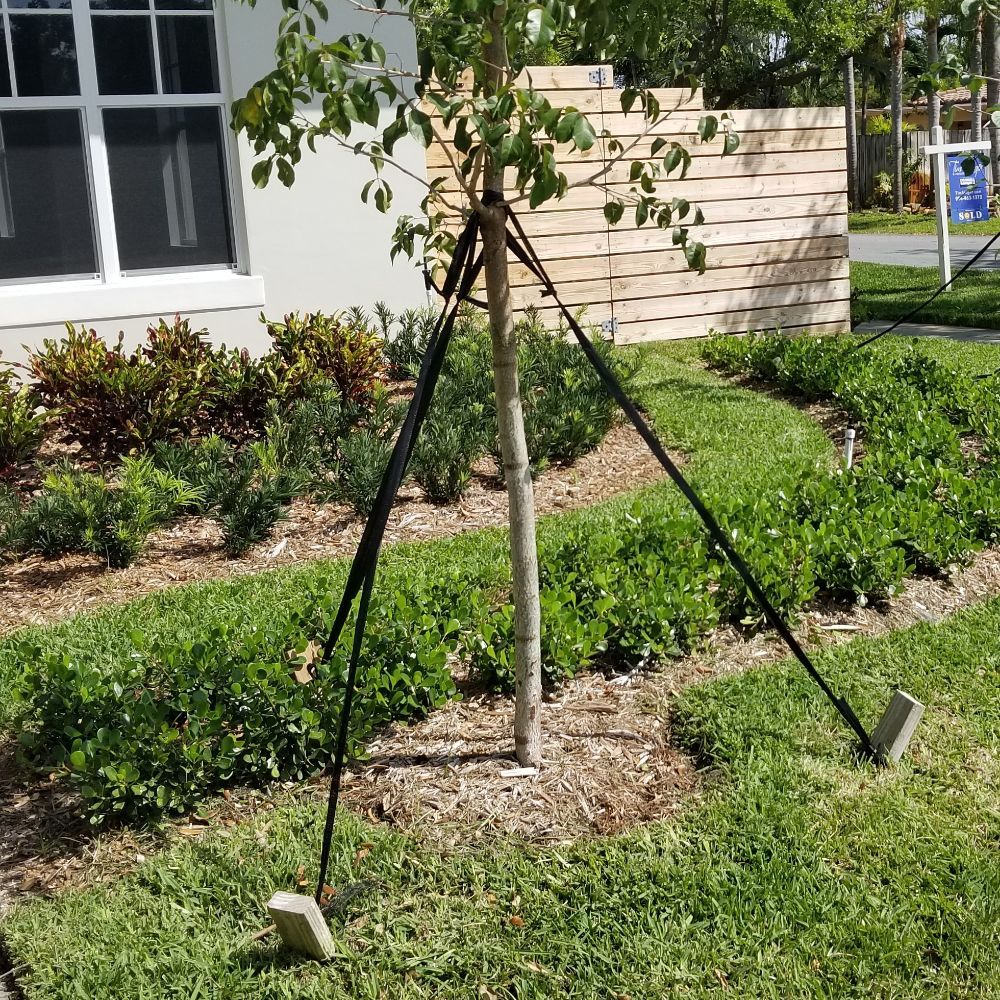 Photo of C S Designer Landscaping