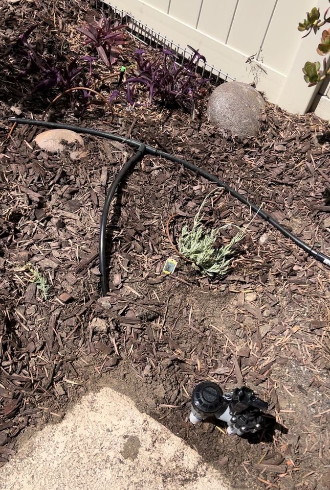 Photo of Tinh's Lawn Care and irrigation