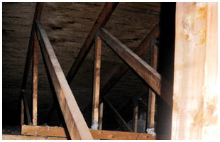 Photo of Certified Foundation