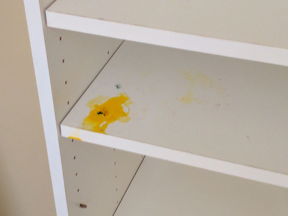 Photo of Cleaning Aid Services