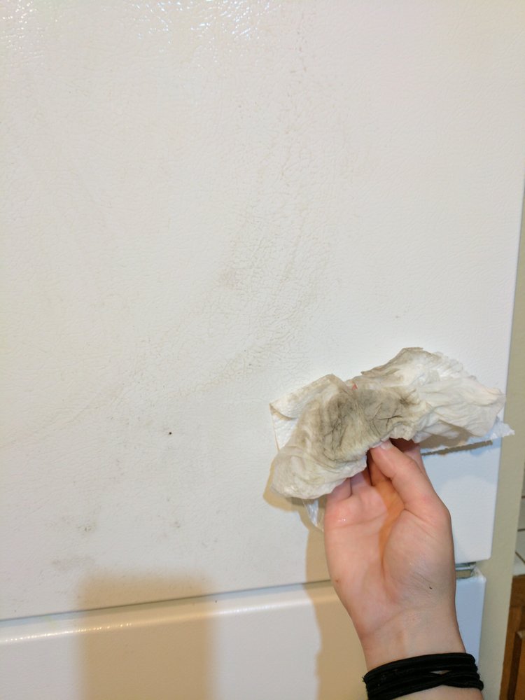 Photo of Cleaning Aid Services