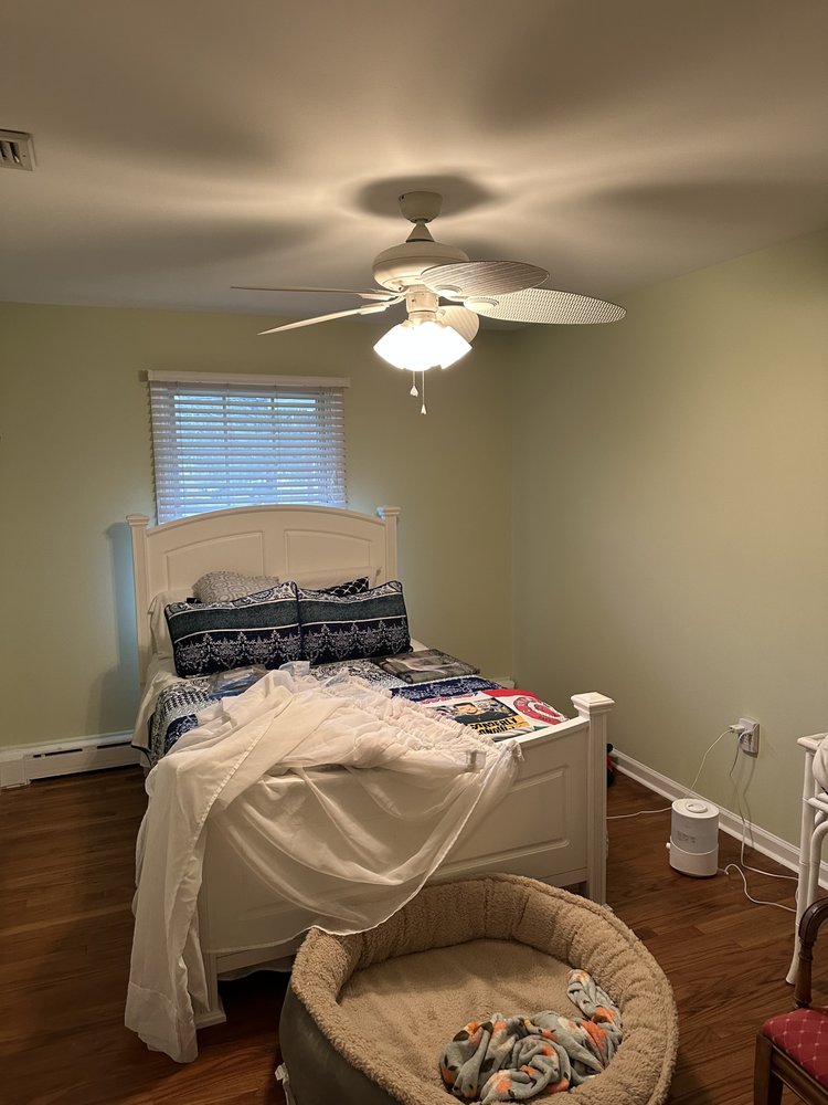 Photo of Painting & Wallpaper by Carter & Son