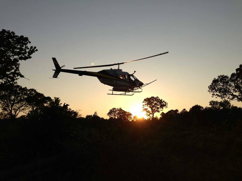 Photo of Aerial Forestry Services