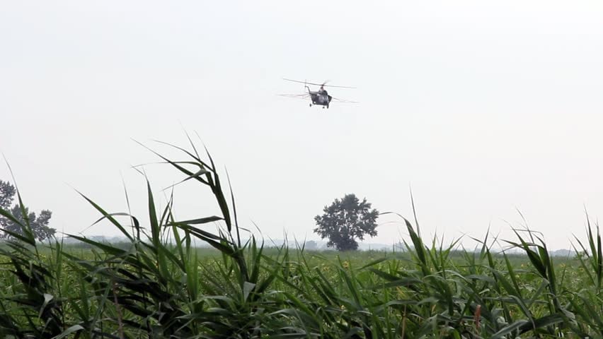 Photo of Aerial Forestry Services